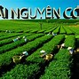 Go Thái Nguyên Có Gì Chơi