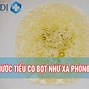 Nước Tiểu Có Bọt Trắng